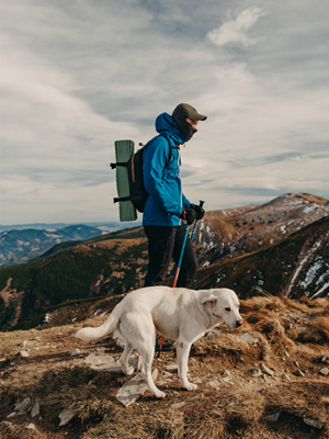 Toallas de Baño para Perro Superabsorbentes de Secado Rápido - Toalla de Microfibra Suave.