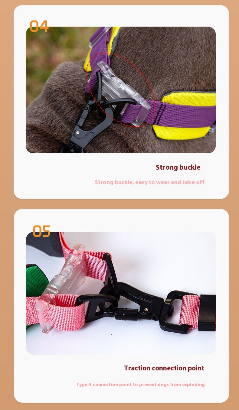 Collar Bandana Correa Ajustable para Perro Mascota.