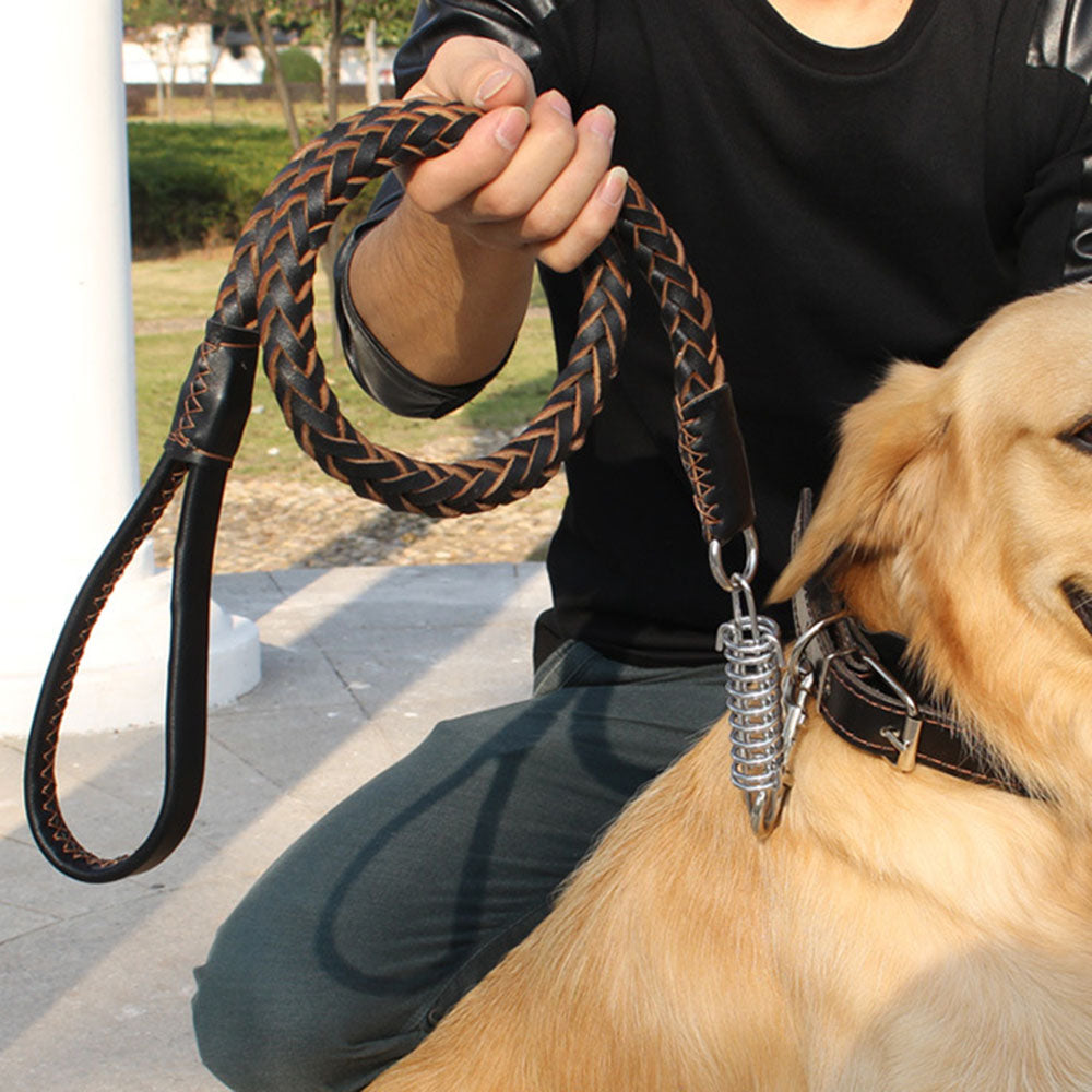 Correa de Piel Vacuna con Resorte de Tracción para Perro Mascota
