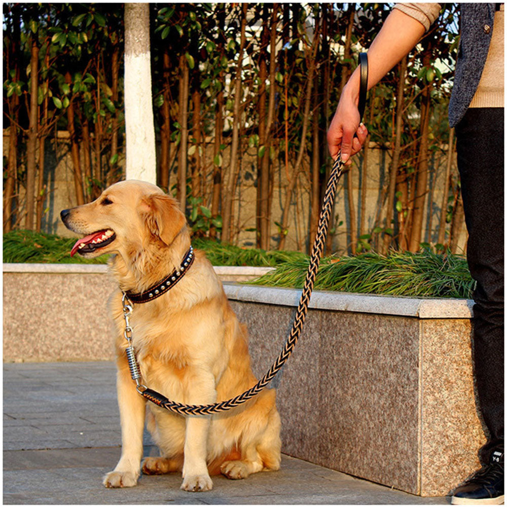 Correa de Piel Vacuna con Resorte de Tracción para Perro Mascota