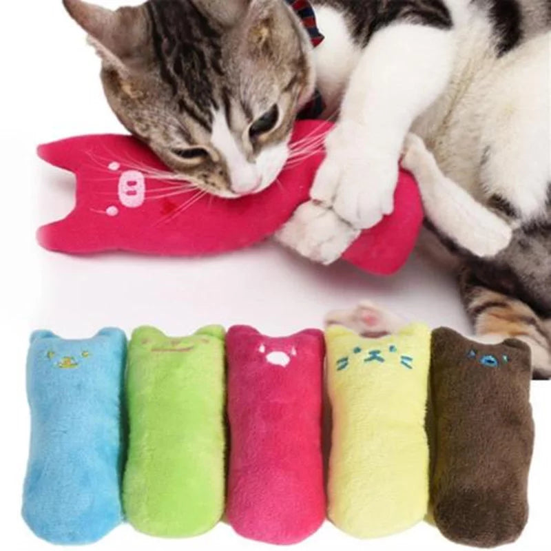 Pack 5 Juguetes Interactivos para Gato Hierba Gatera Almohada