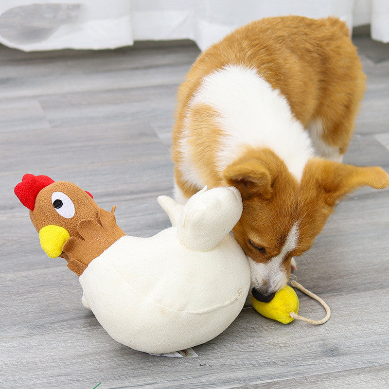 Juguete Gallina Peluche para Perros Olfateadores Rompecabezas