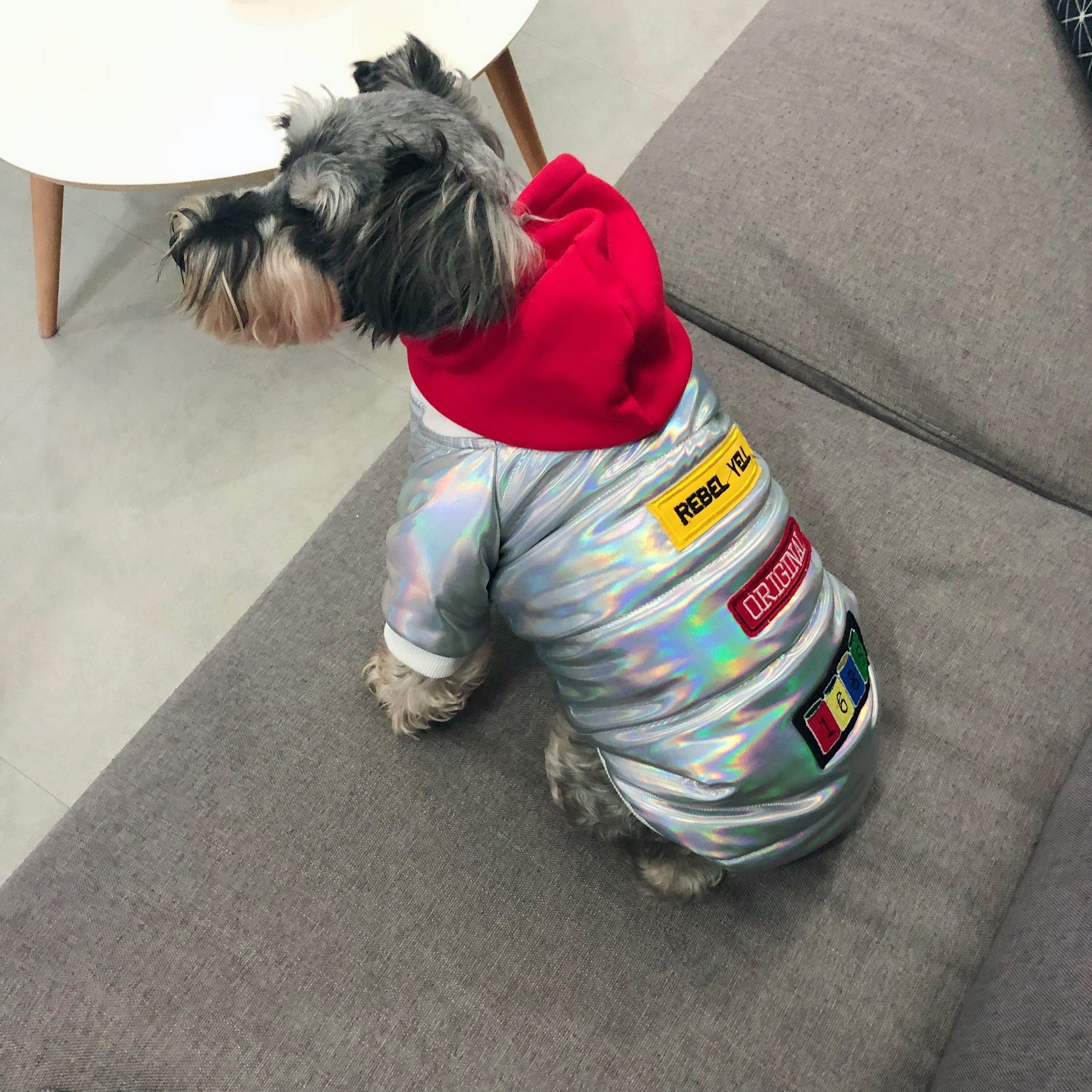 Chaqueta Moderna y Original de Otoño Invierno para Perro