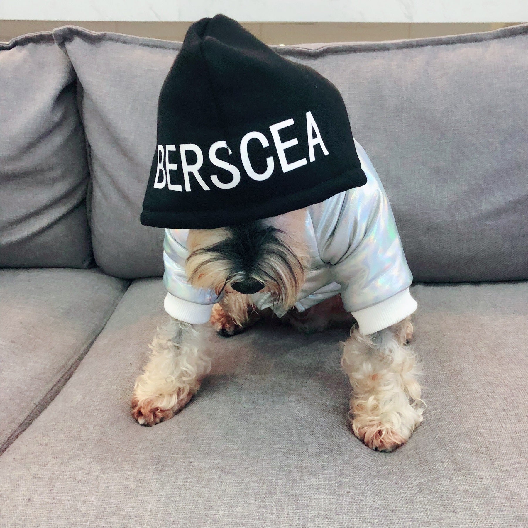 Chaqueta Moderna y Original de Otoño Invierno para Perro