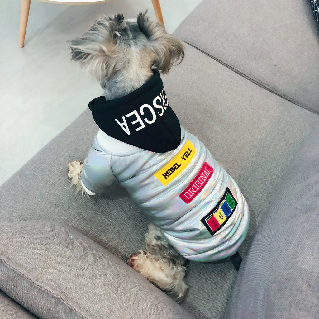 Chaqueta Moderna y Original de Otoño Invierno para Perro