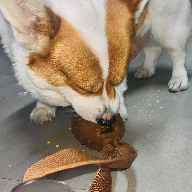 Juguete Forma Grano de Café para Perro Mascota  Limpieza Dientes, Cuerda con Nudo.
