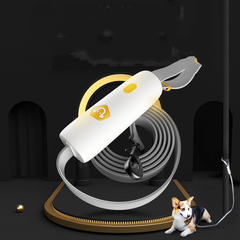 Correa Diseño Original para Perro Mediano y Grande