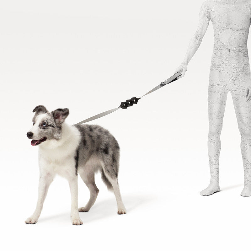 Correa de Tracción con Rombos o Anillos de Amortiguación para Perro Mascota