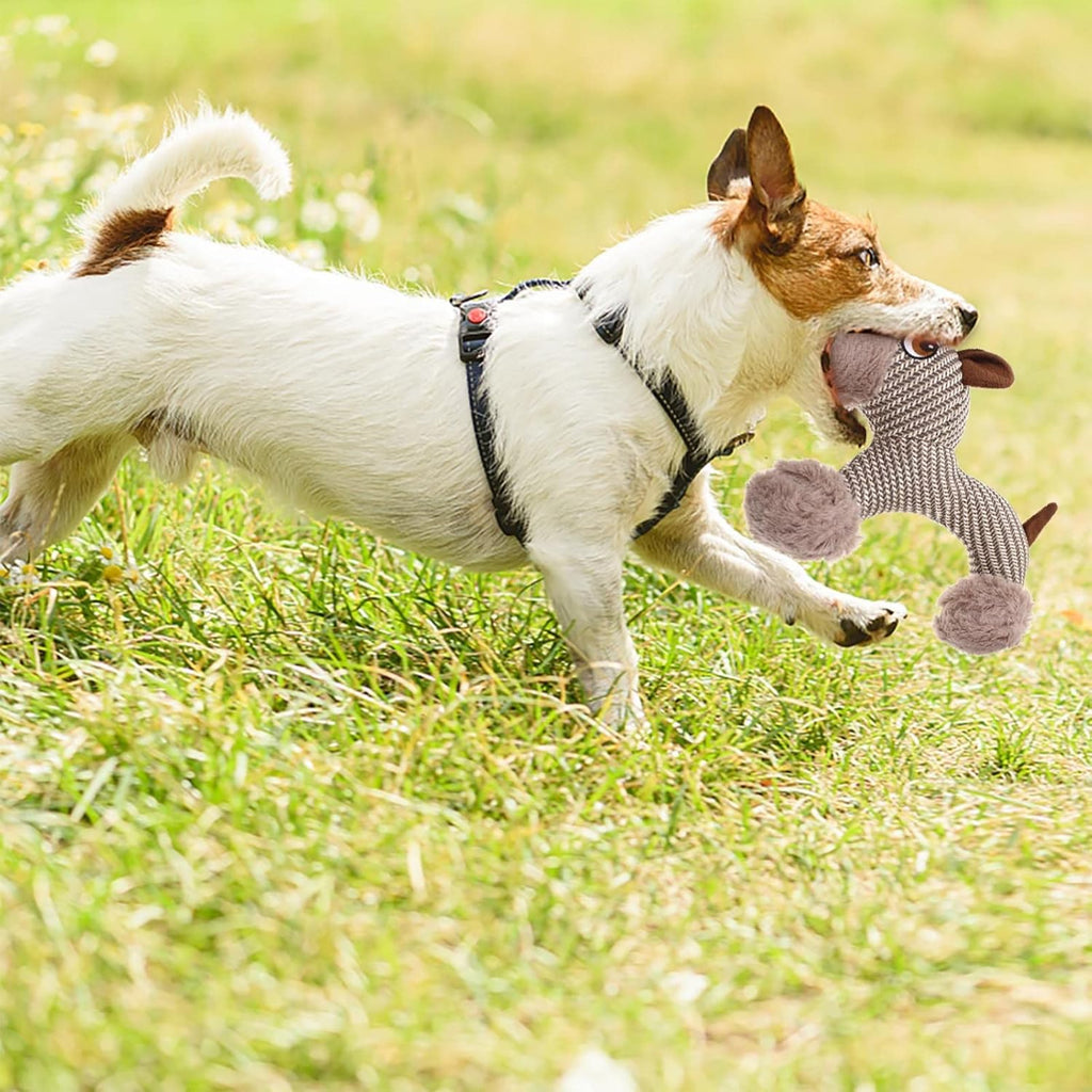 Perro corriendo con el juguete mordedor de peluche para perro con sonido chirriante