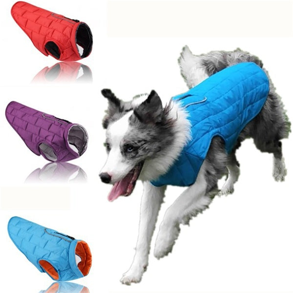 Chaqueta a Cuadros de Dos Colores para Perro