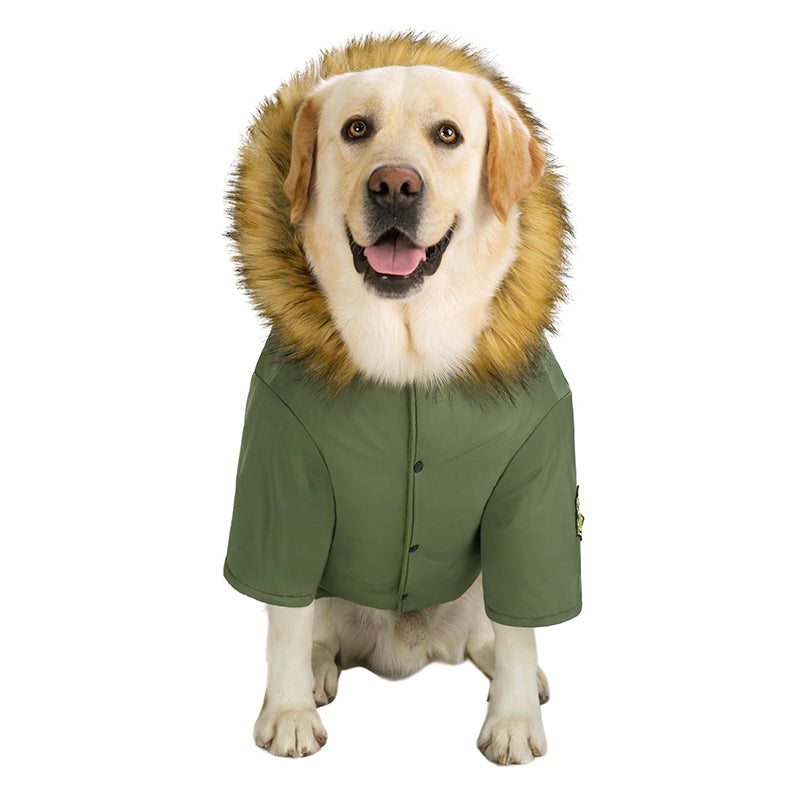 Ropa Chaqueta Gruesa de Plumón con Capucha para Perro Otoño e Invierno