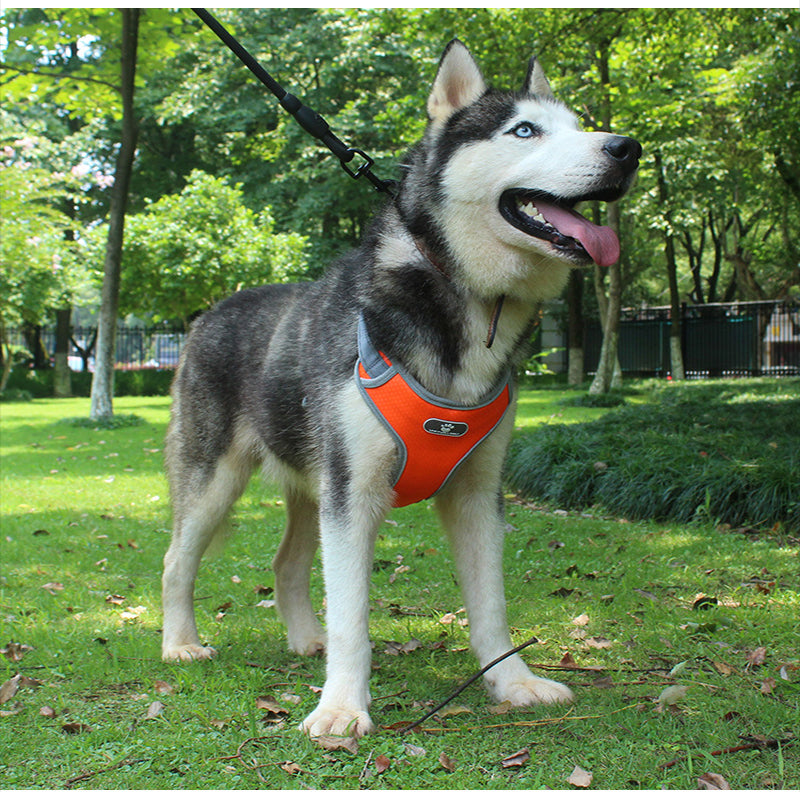 Chaleco Arnés Reflectante Antitirones para Perro