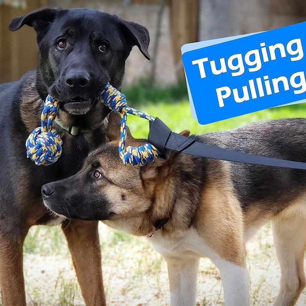 Juguete para Perro de Cuerda Extensible para Morder uso Interior y Exterior