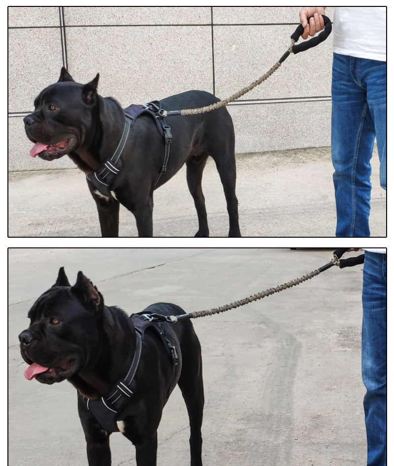 Correa Elastica de Traccion de 75 cm o 120 cm para Perro Mascotas