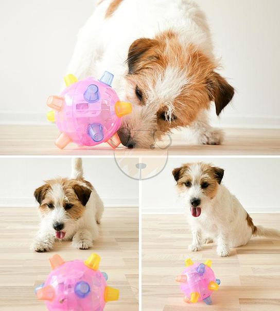 Pelota Bailarina con Luces Multicolor para Perro