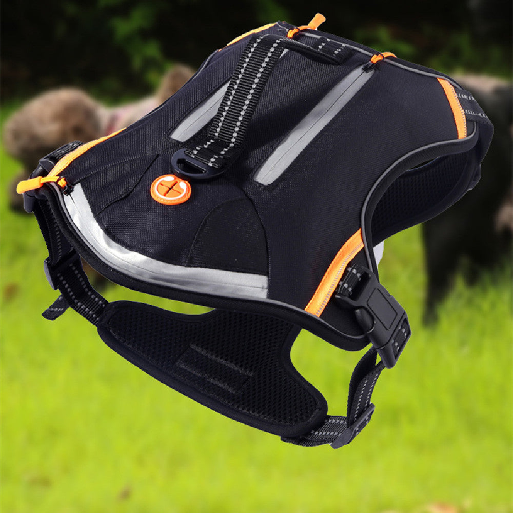 Vista general de arnés de color negro con reflectante, asa y argolla de sujecion