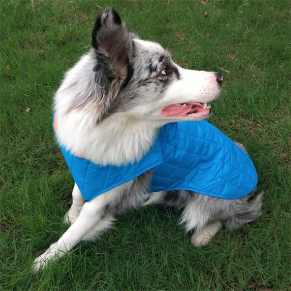 Chaqueta a Cuadros de Dos Colores para Perro