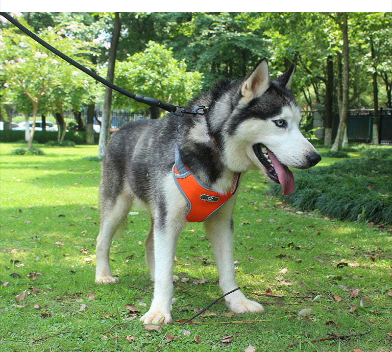 Chaleco Arnés Reflectante Antitirones para Perro