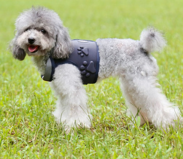 Ejemplo como queda el chaleco arnés para perro en color negro