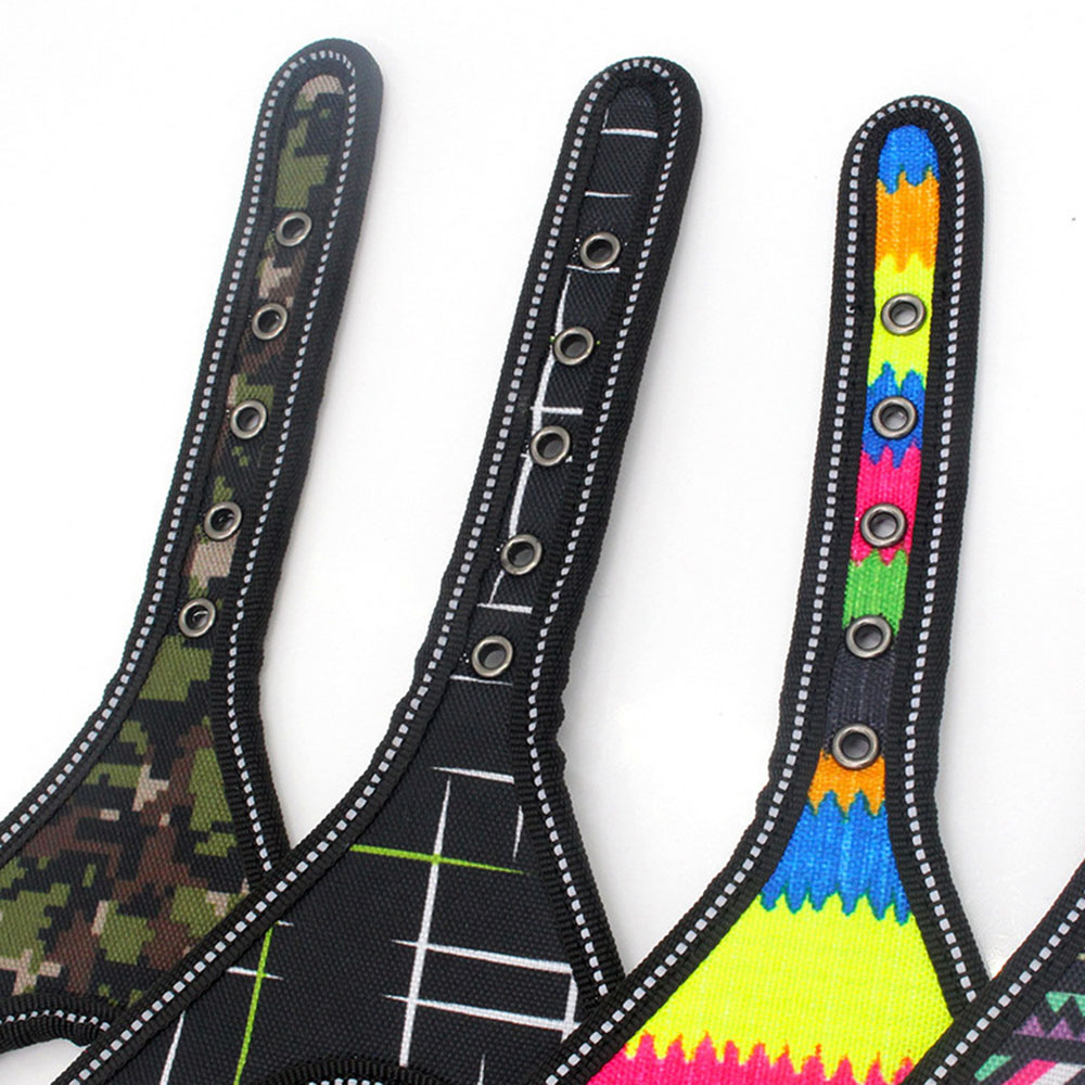 Arnes y Correa Colorida para Perro Mascota