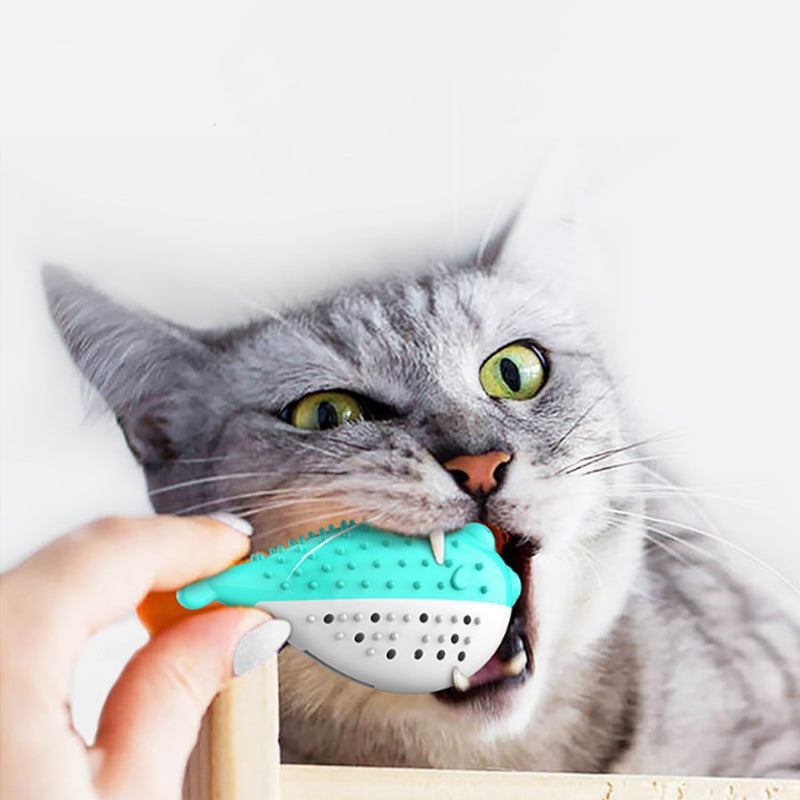 Juguete para Morder Limpieza de Dientes para Gato.