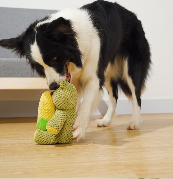 Juguete Interactivo de Perro para Limpieza de Dientes Resistente a Mordeduras.