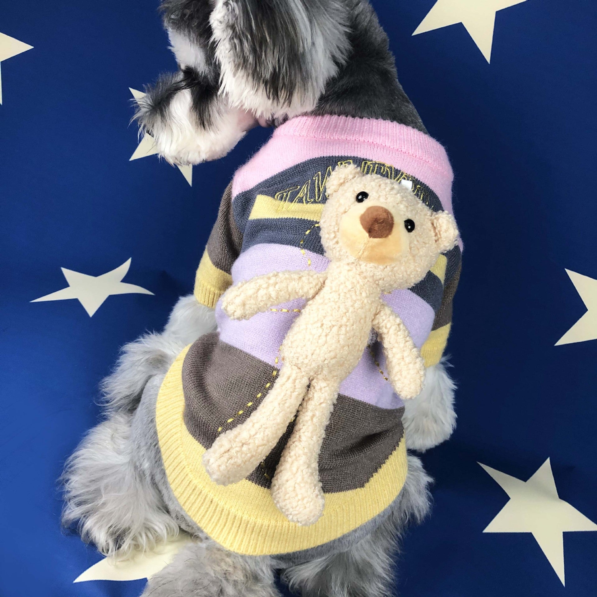 Suéter Elegante de Otoño Invierno para Perro Mascota