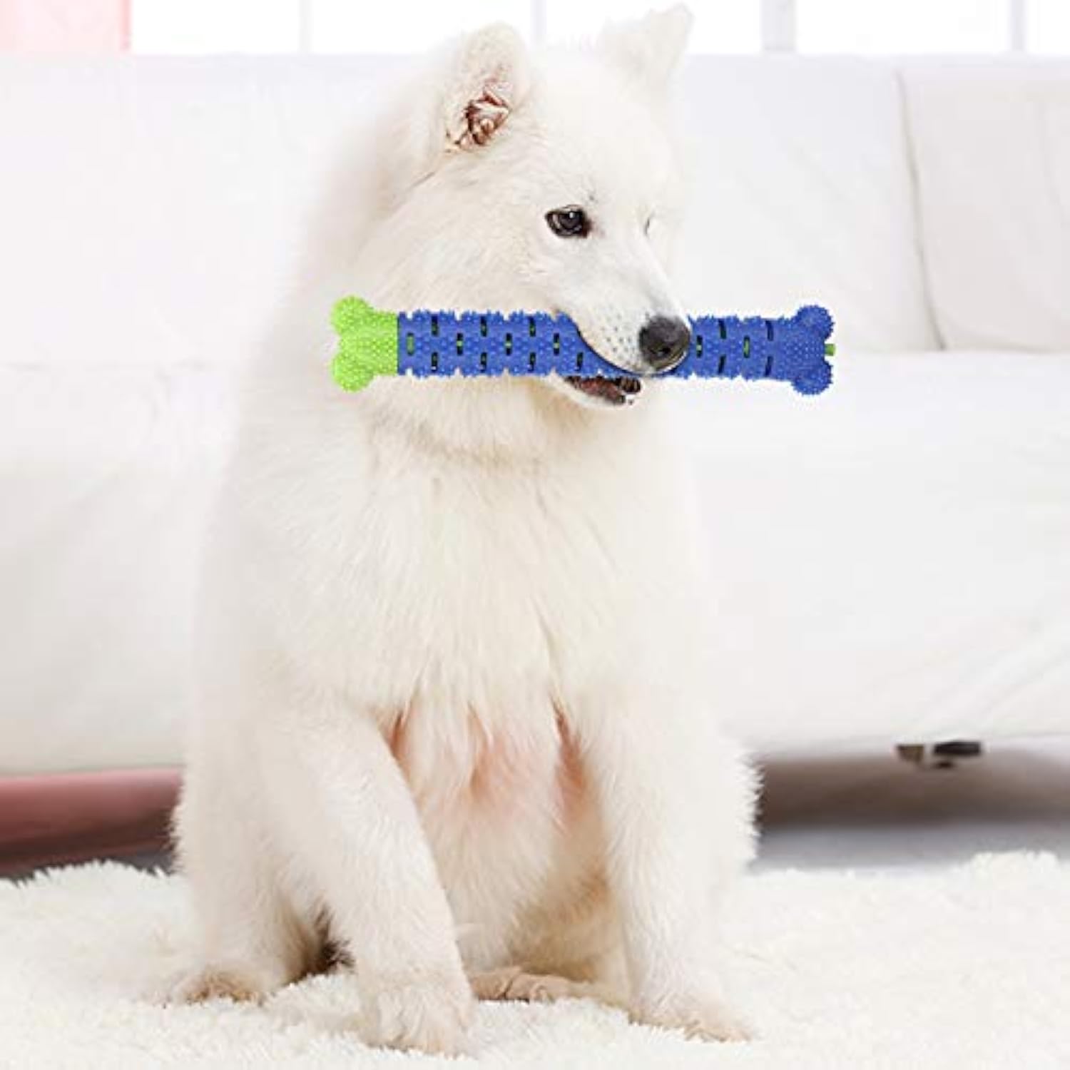 Juguete Limpiador Dientes Azul-Verde para Mascota Palo de Cepillado.