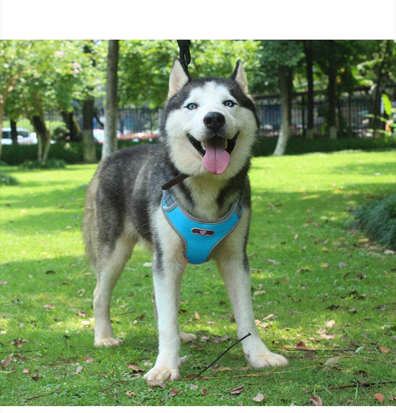 Chaleco Arnés Reflectante Antitirones para Perro