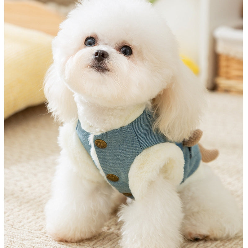 Chaqueta Denim para Perro Mascota Estilo Coreano para Otoño e Invierno con Osito Peluche
