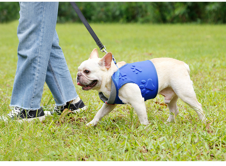 Ejemplo como queda el  chaleco arnés para perro 