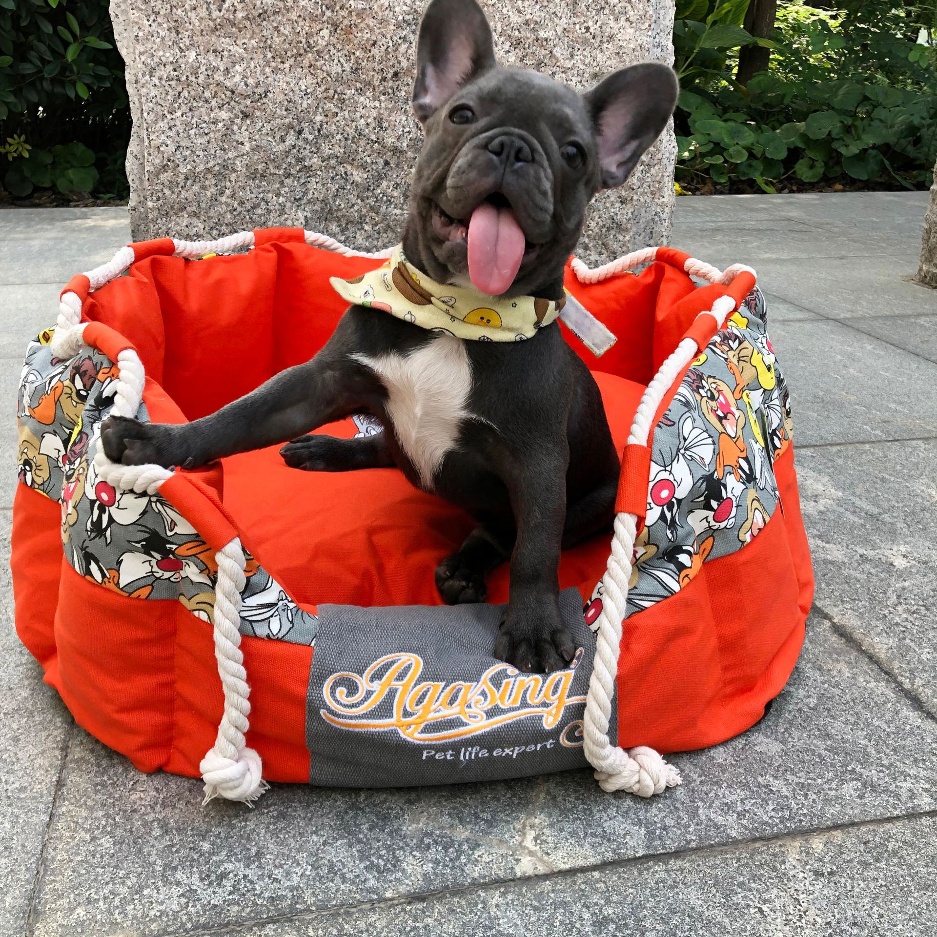 Perro descansando en cama elevada ajustable de color naranja
