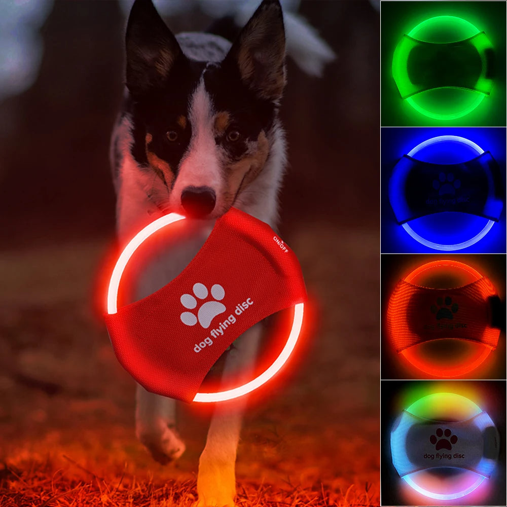 Disco Volador para Perro con Luz LED Brillante, Juguete Interactivo de Entrenamiento.