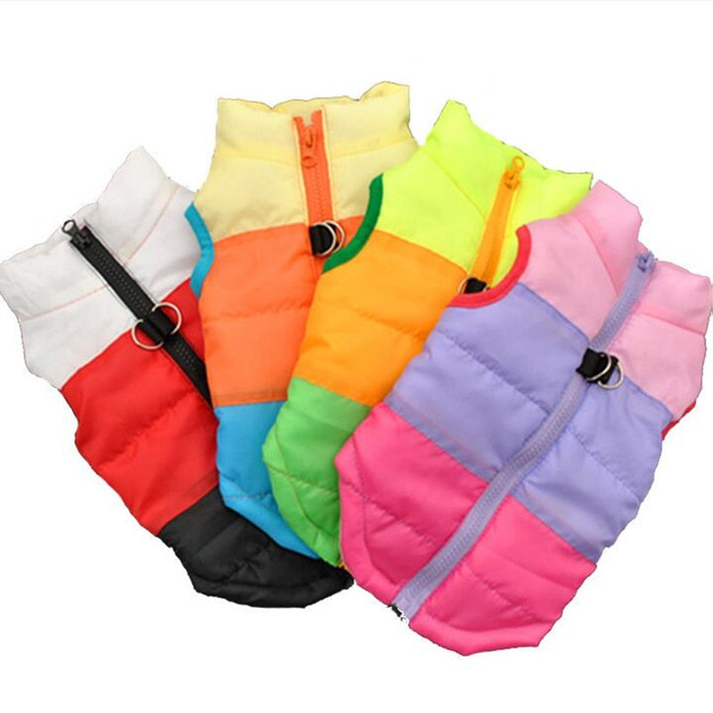 Ropa Colorida Chaqueta Multicolor para Perro Mascota
