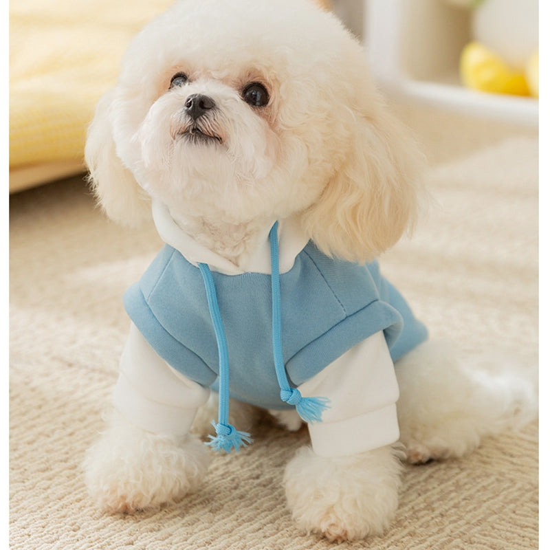 Sudadera con Capucha y Estampado para Perro Mascota ideal Otoño Invierno