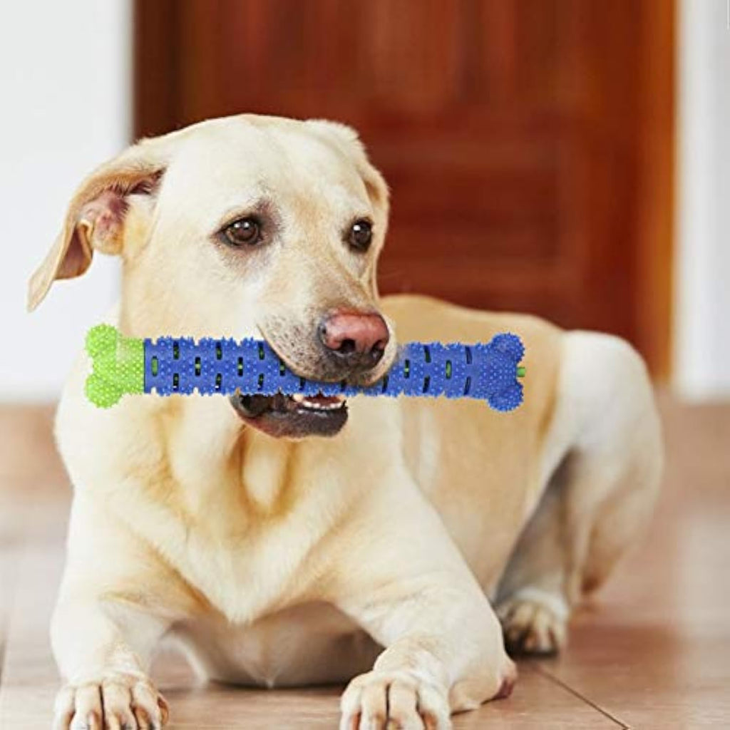 Juguete Limpiador Dientes Azul-Verde para Mascota Palo de Cepillado.