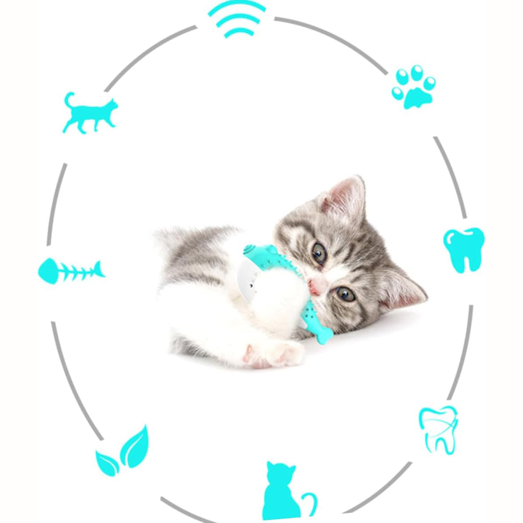 Juguete para Morder Limpieza de Dientes para Gato.