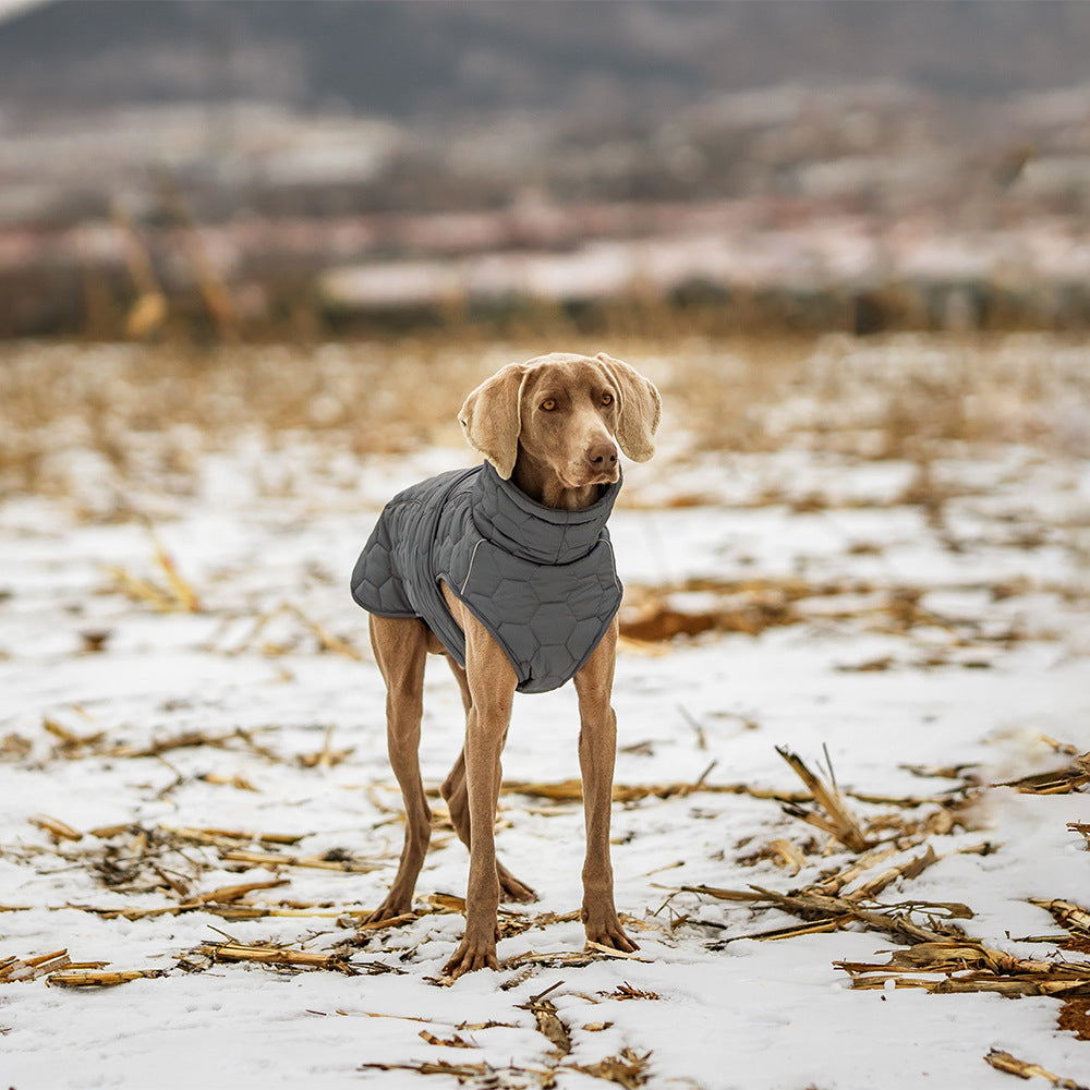 Ropa Invierno para Mascota Perro