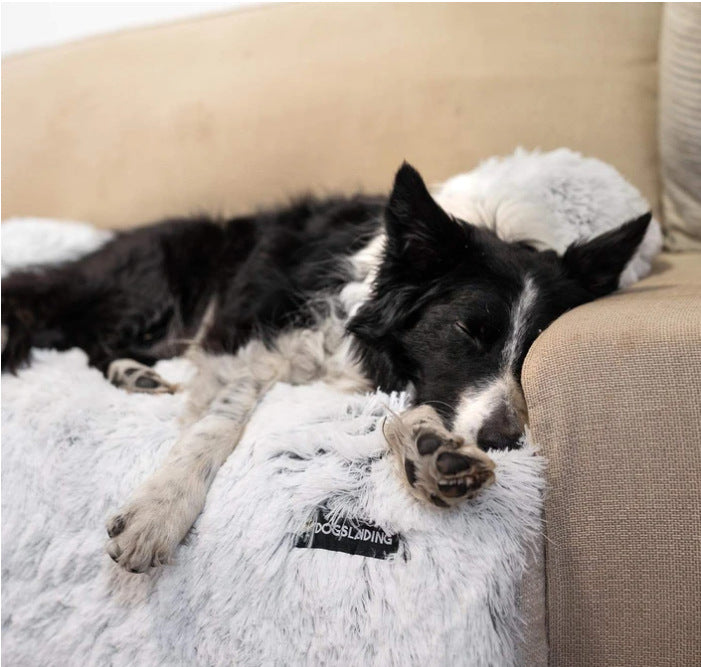 Cojín Cama Multiuso Descanso para Perro Gato Mascotas