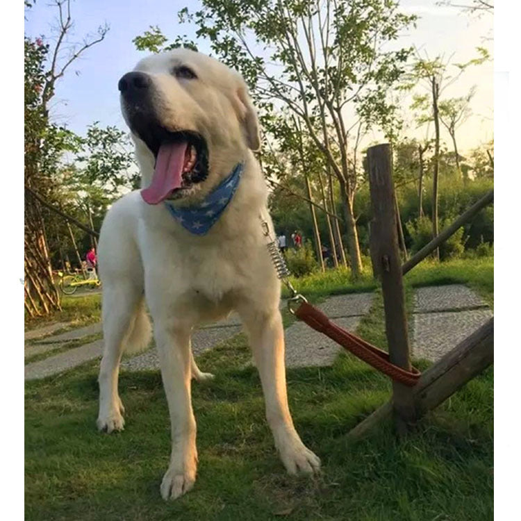 Cuerda de Tracción Corta con Eslabón Giratorio para Perro
