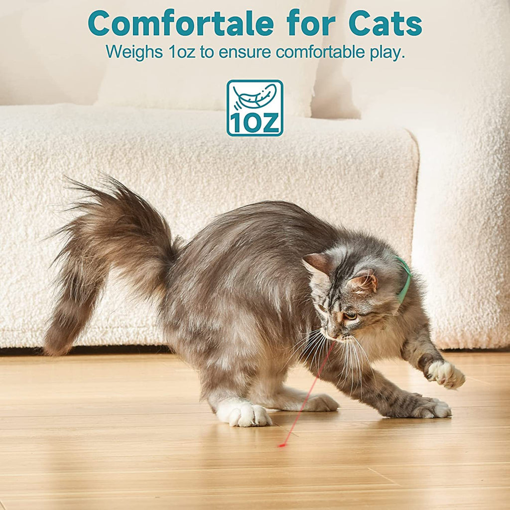 Gato jugando con el collar láser interactivo para gatos con carga USB