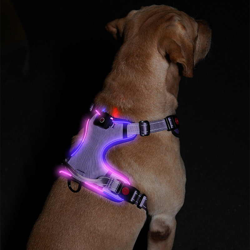 Arnes Correa de pecho Luminosa LED para Perro Mascotas Recargable por USB