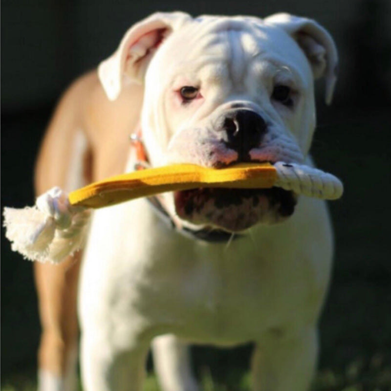Perro con juguete con forma de hueso de fieltro para perro color beige