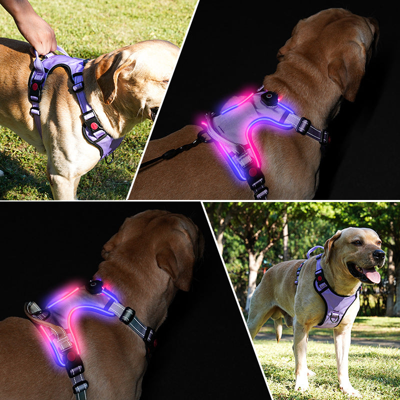 Arnes Correa de pecho Luminosa LED para Perro Mascotas Recargable por USB