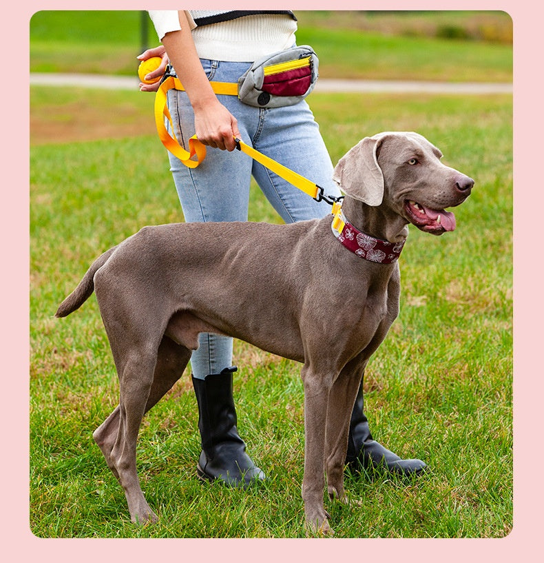 Collar Bandana Correa Ajustable para Perro Mascota.