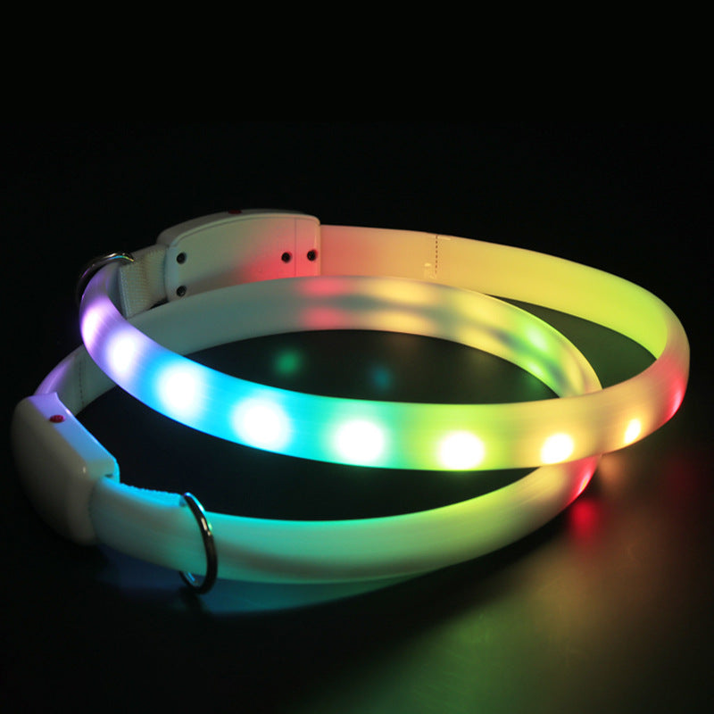 Collar Luminoso LED para Perro, Recargable por USB,  Luces Intermitentes