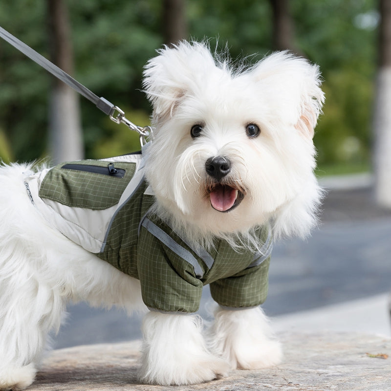 Chaqueta Cortavientos Outdor Adventure Otoño Invierno para Perro Mascotas