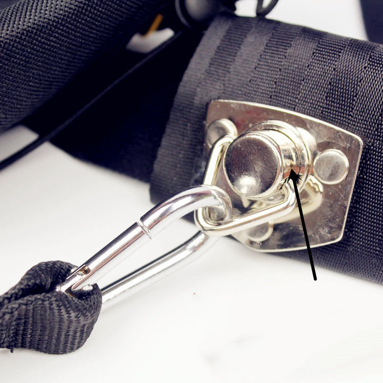 Correa de traccion para perros