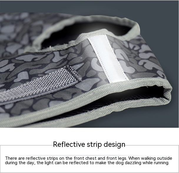 Arnés Táctico Correa de Pecho para Perro Antitirones con Correa de Sujeción.