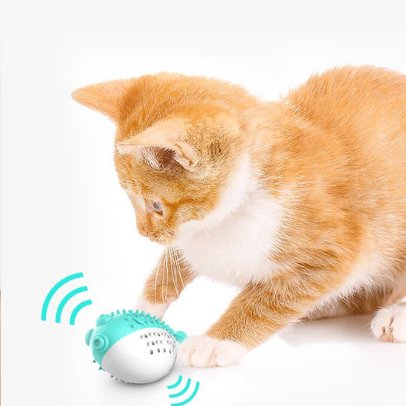 Juguete para Morder Limpieza de Dientes para Gato.